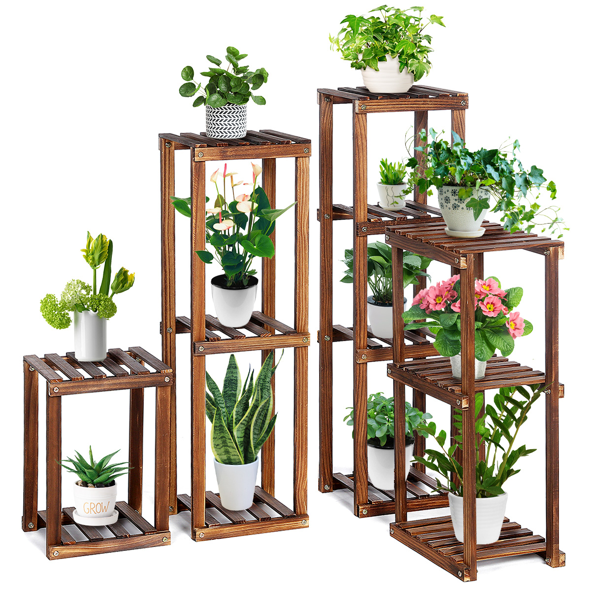 download plants stand indoor